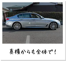 真横からも全体で！